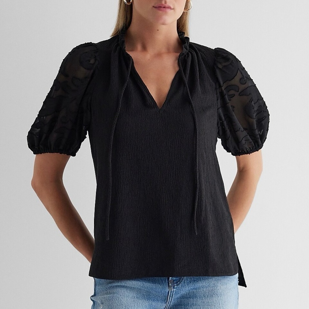 Express Women's Black Top Size XS V-Neck Sheer Puff Sleeve Drawstring NWT $58